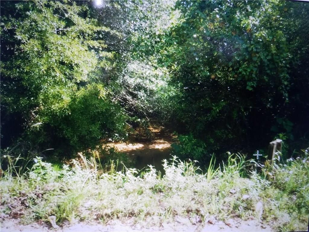 0 Mouton Tate Road Franklinton, LA 70438 - Photo 1 of 2 Gallery Image 1