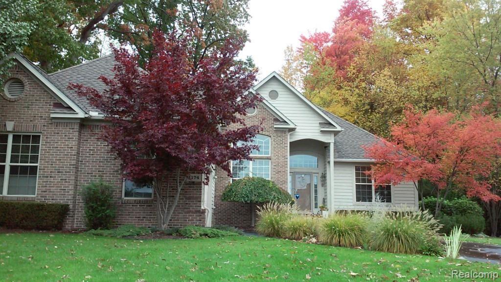 Front Yard 4.jpg