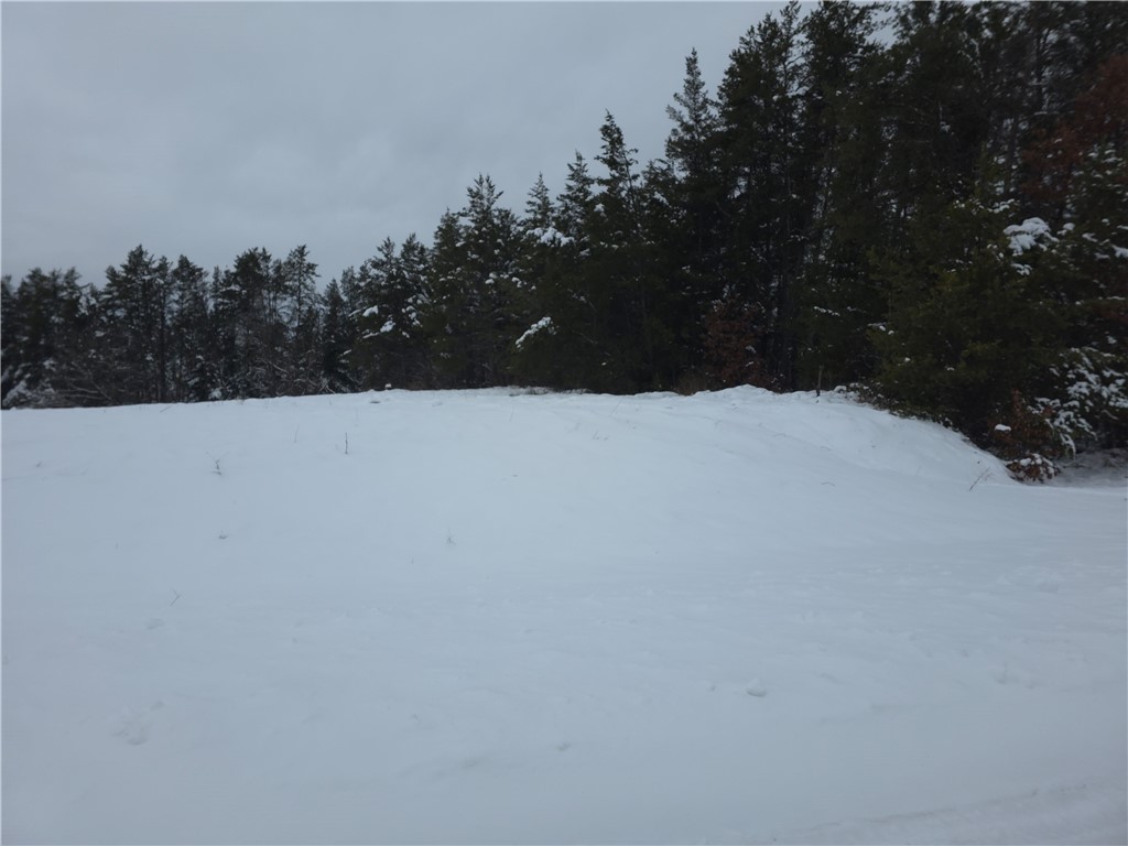0 Liesch Road Trego, WI 54888 - Photo 6 of 27