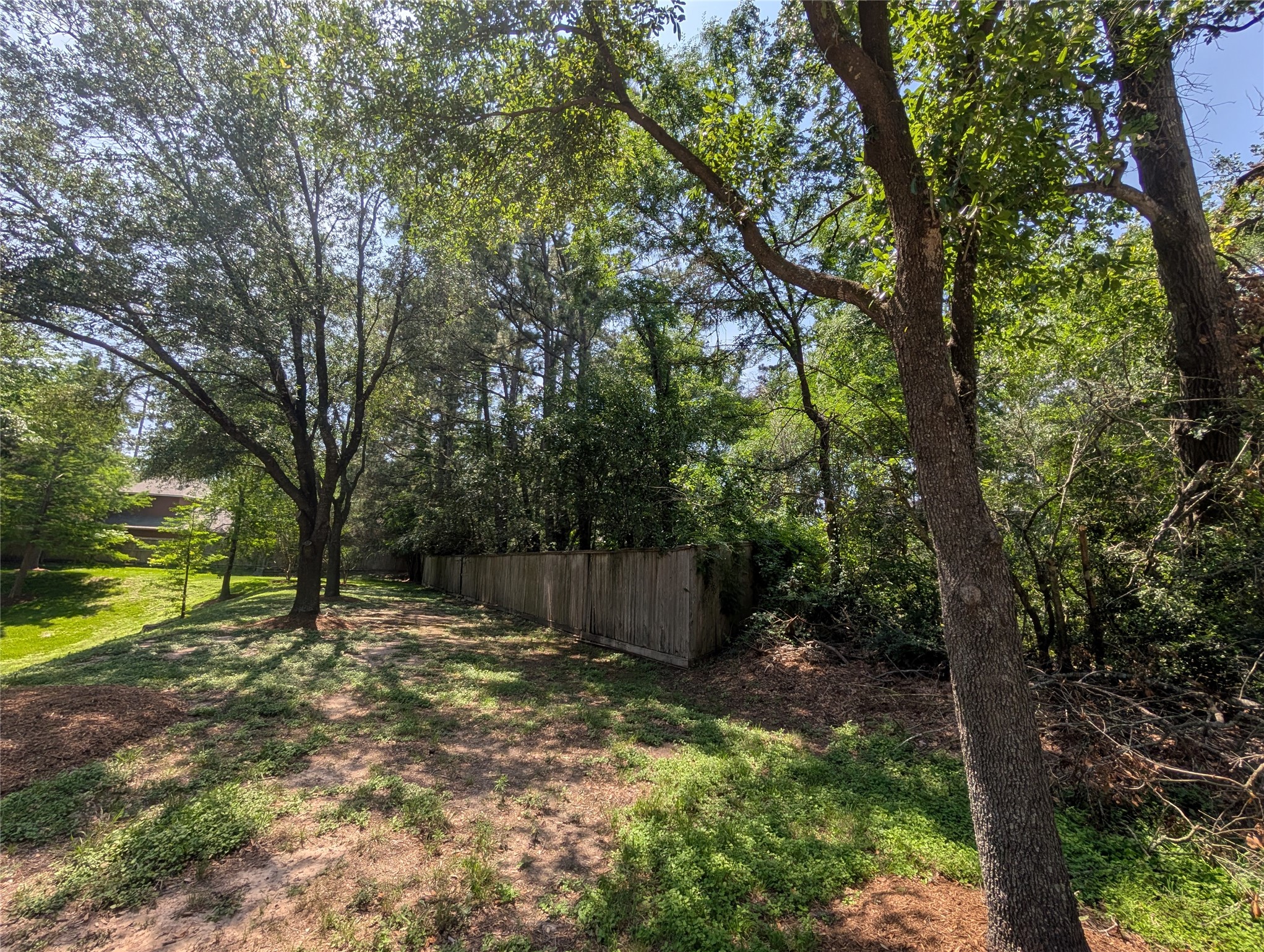 16103 Wimbledon Forest Drive Spring, TX 77379 - Photo 2 of 7 a backyard of a house with lots of green space