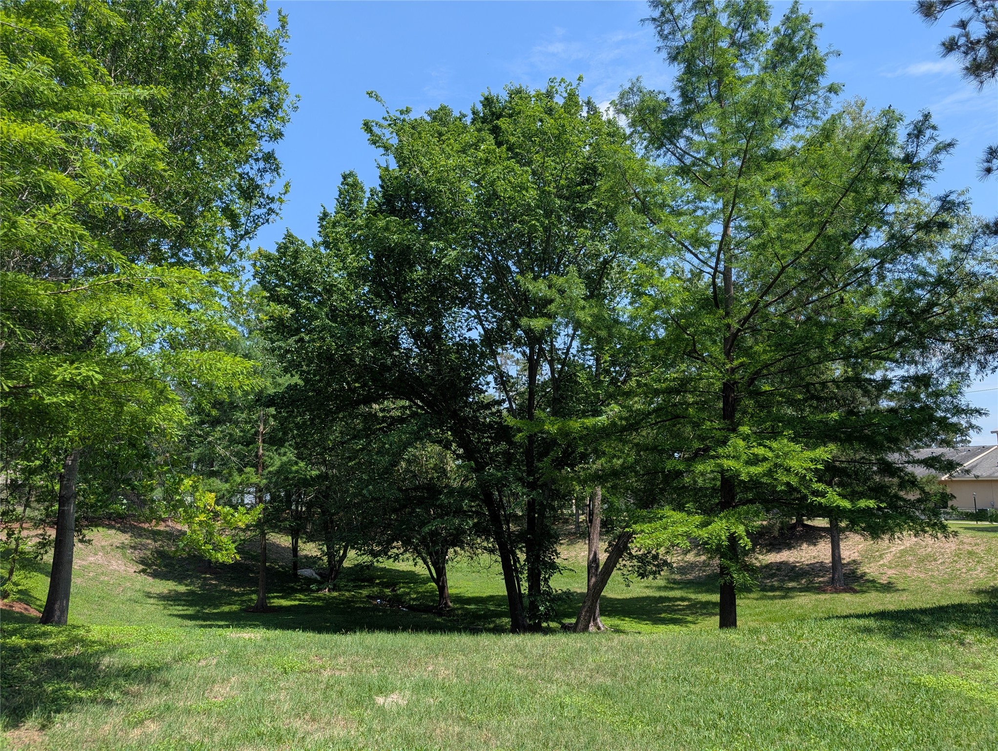 16103 Wimbledon Forest Drive Spring, TX 77379 - Photo 7 of 7