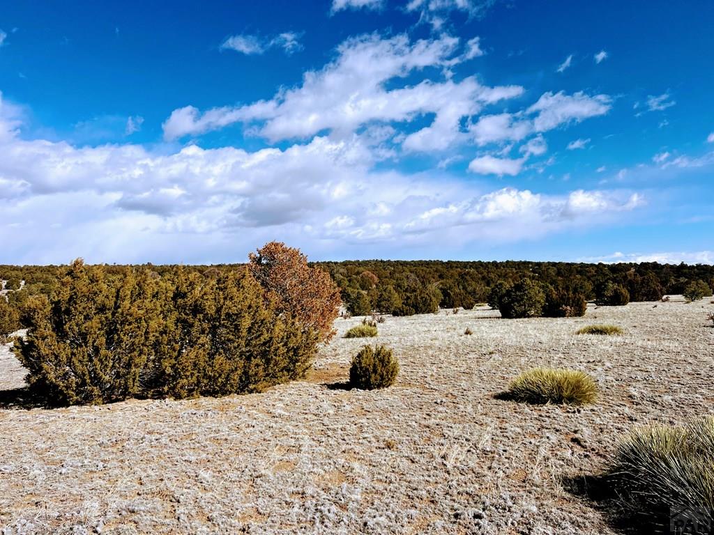 0 Twin Lakes Road Walsenburg, CO 81089 - Photo 6 of 13