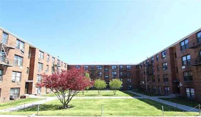 a view of a back yard