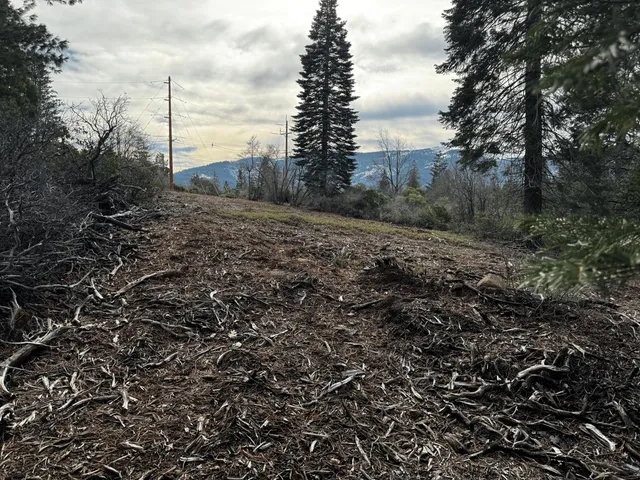 a view of a backyard of the house