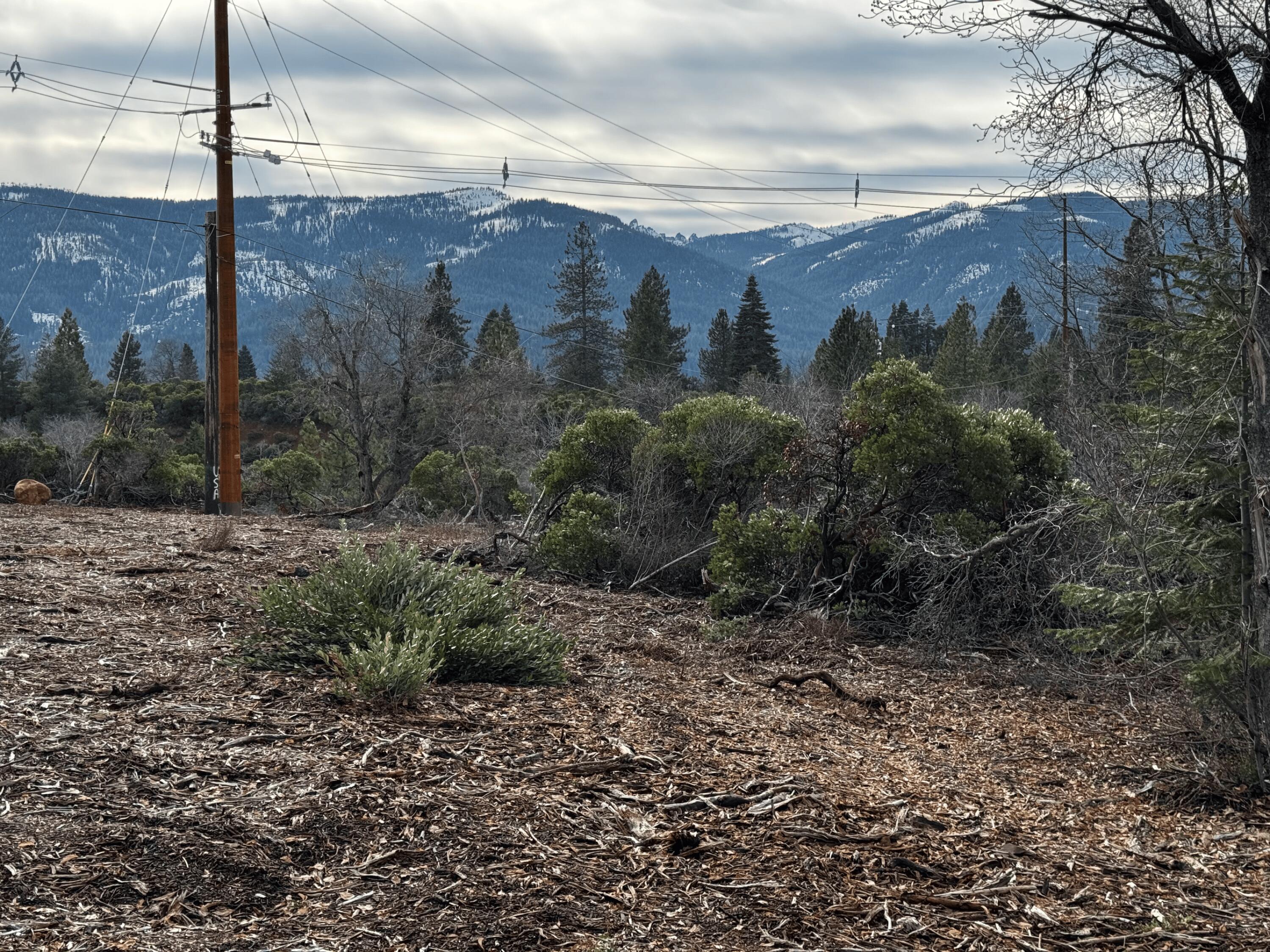 S Mount Mount Shasta, CA 96067 - Photo 15 of 29 a view of a forest with a mountain