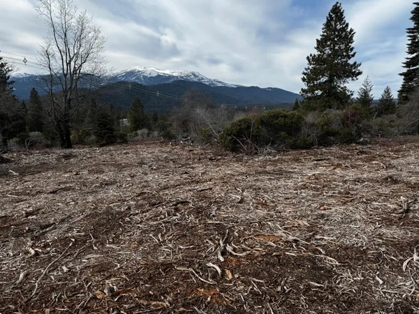 a view of a dry yard with mountains in the background
