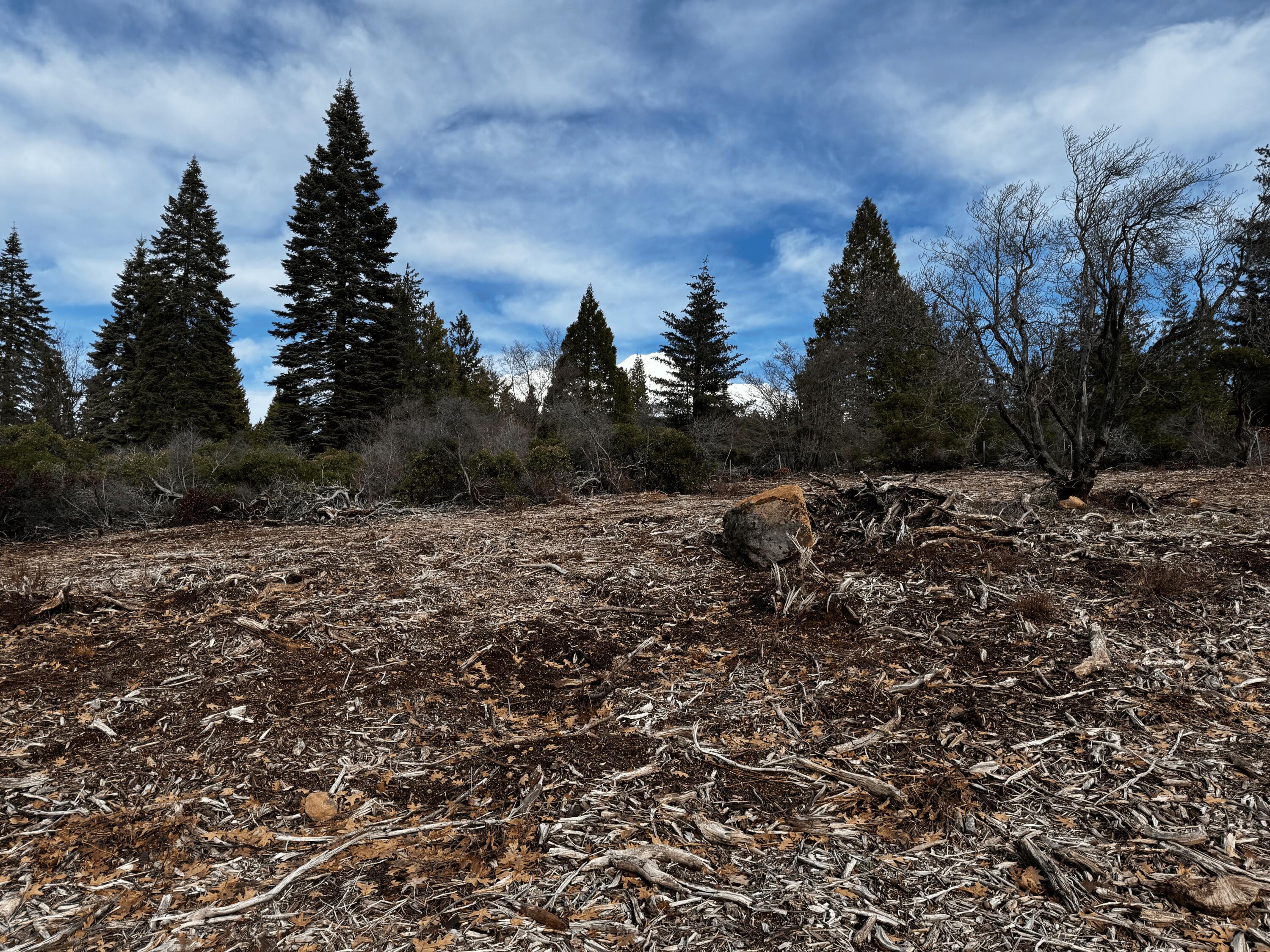 S Mount Mount Shasta, CA 96067 - Photo 19 of 29 a view of outdoor space and covered with trees