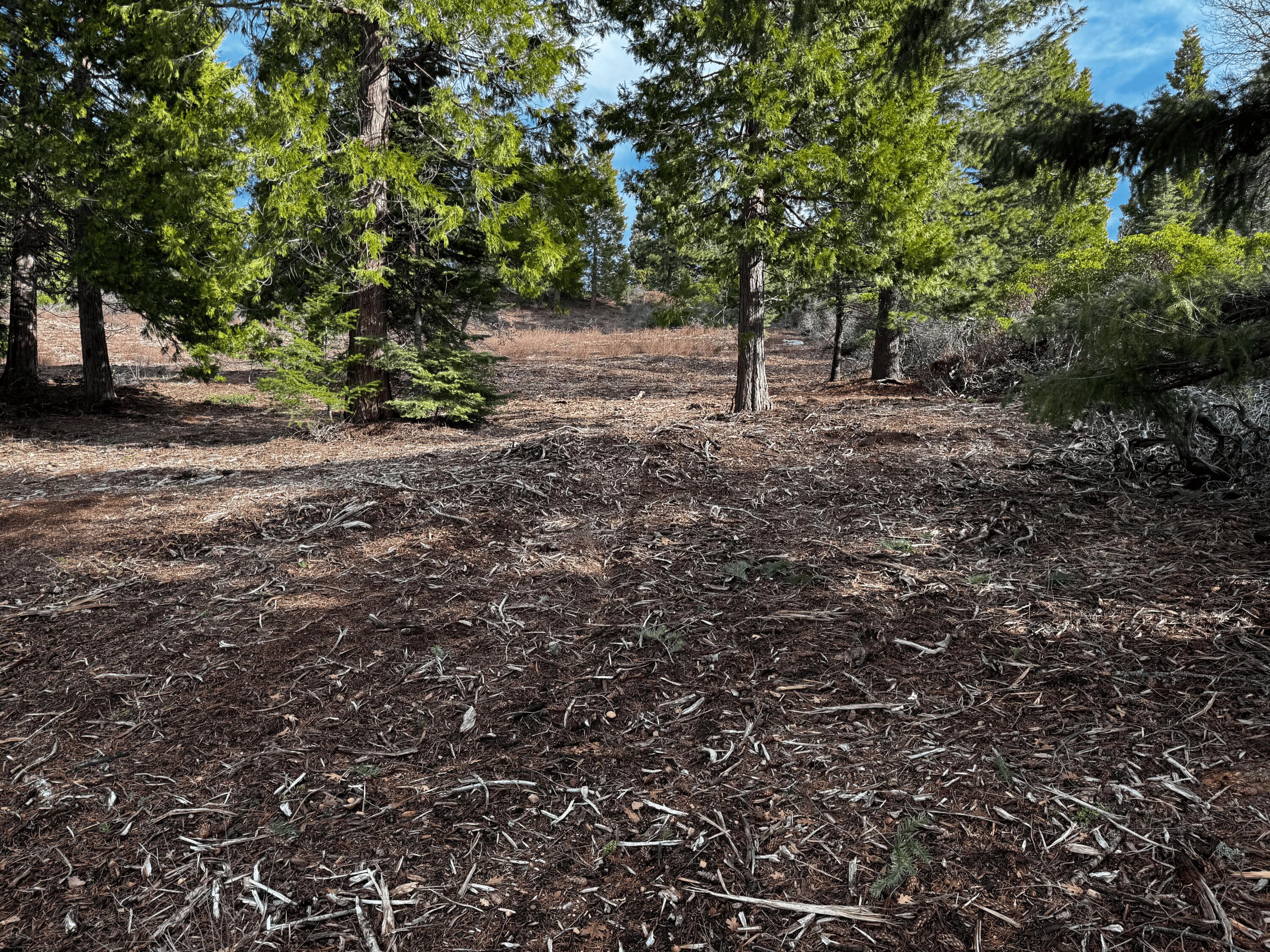 S Mount Mount Shasta, CA 96067 - Photo 2 of 29 a view of outdoor space and trees