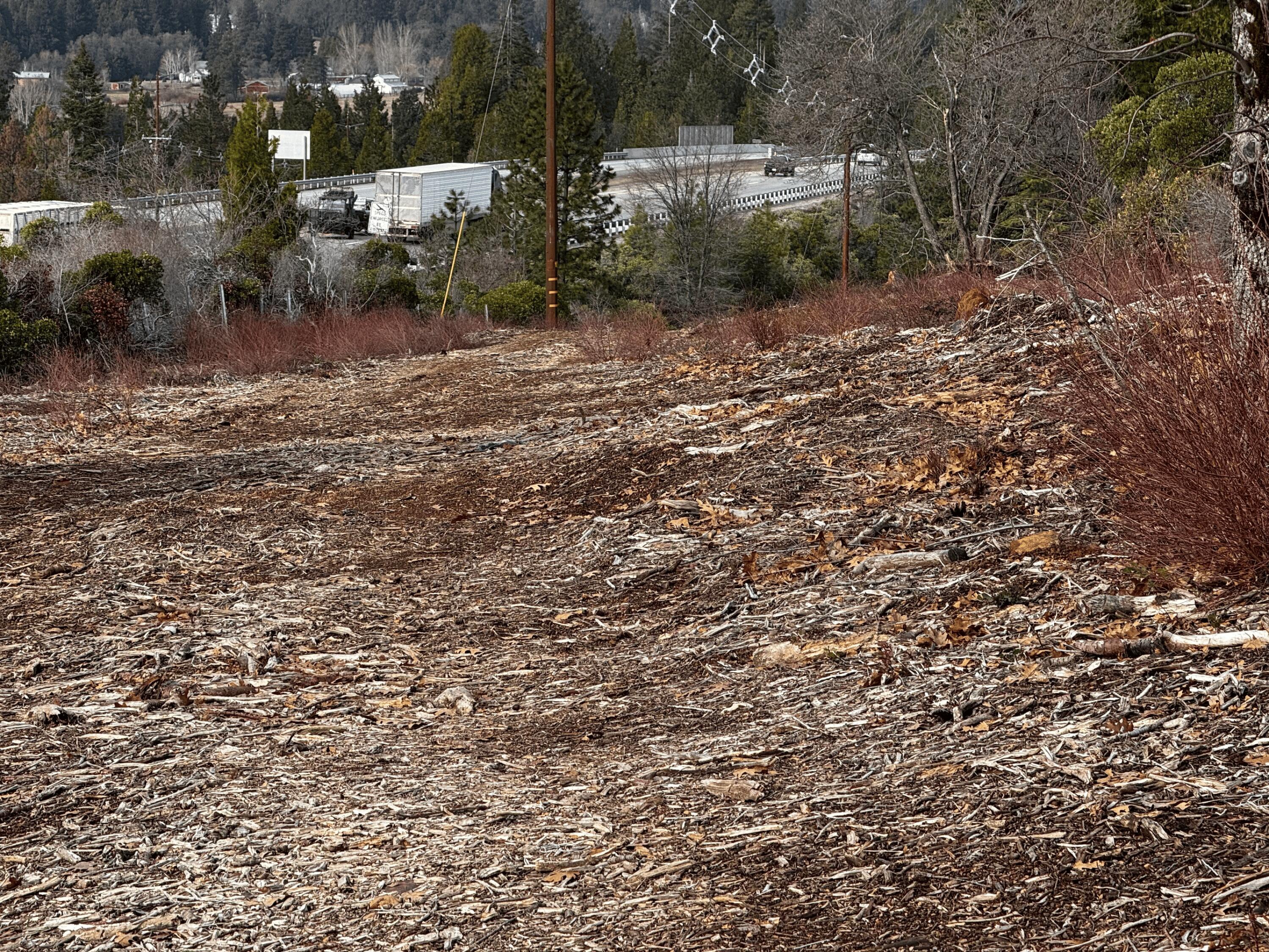 S Mount Mount Shasta, CA 96067 - Photo 21 of 29 a view of a outdoor space and a yard