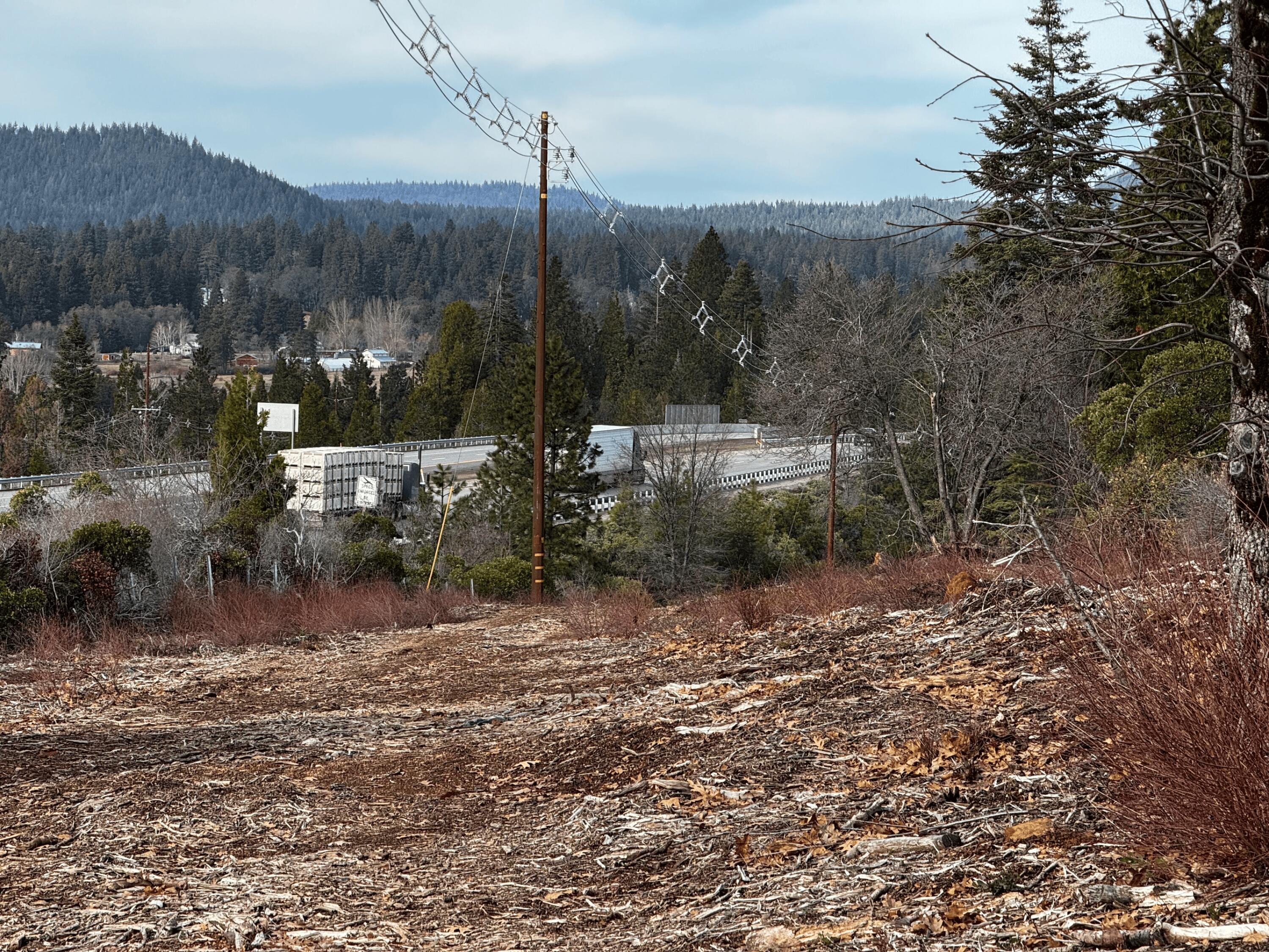 S Mount Mount Shasta, CA 96067 - Photo 22 of 29 a view of a park with a tree