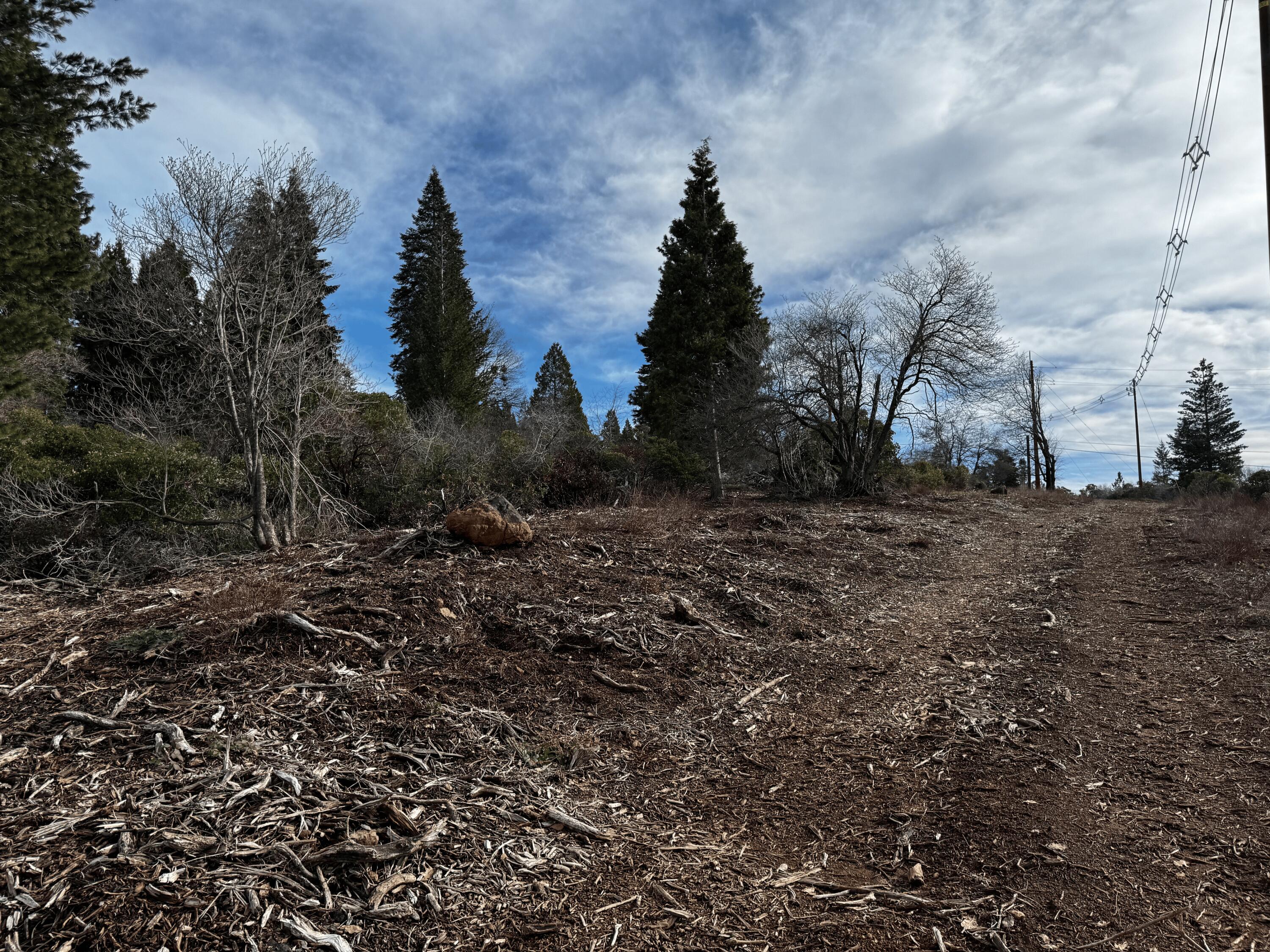 S Mount Mount Shasta, CA 96067 - Photo 25 of 29 a view of a dry yard with trees