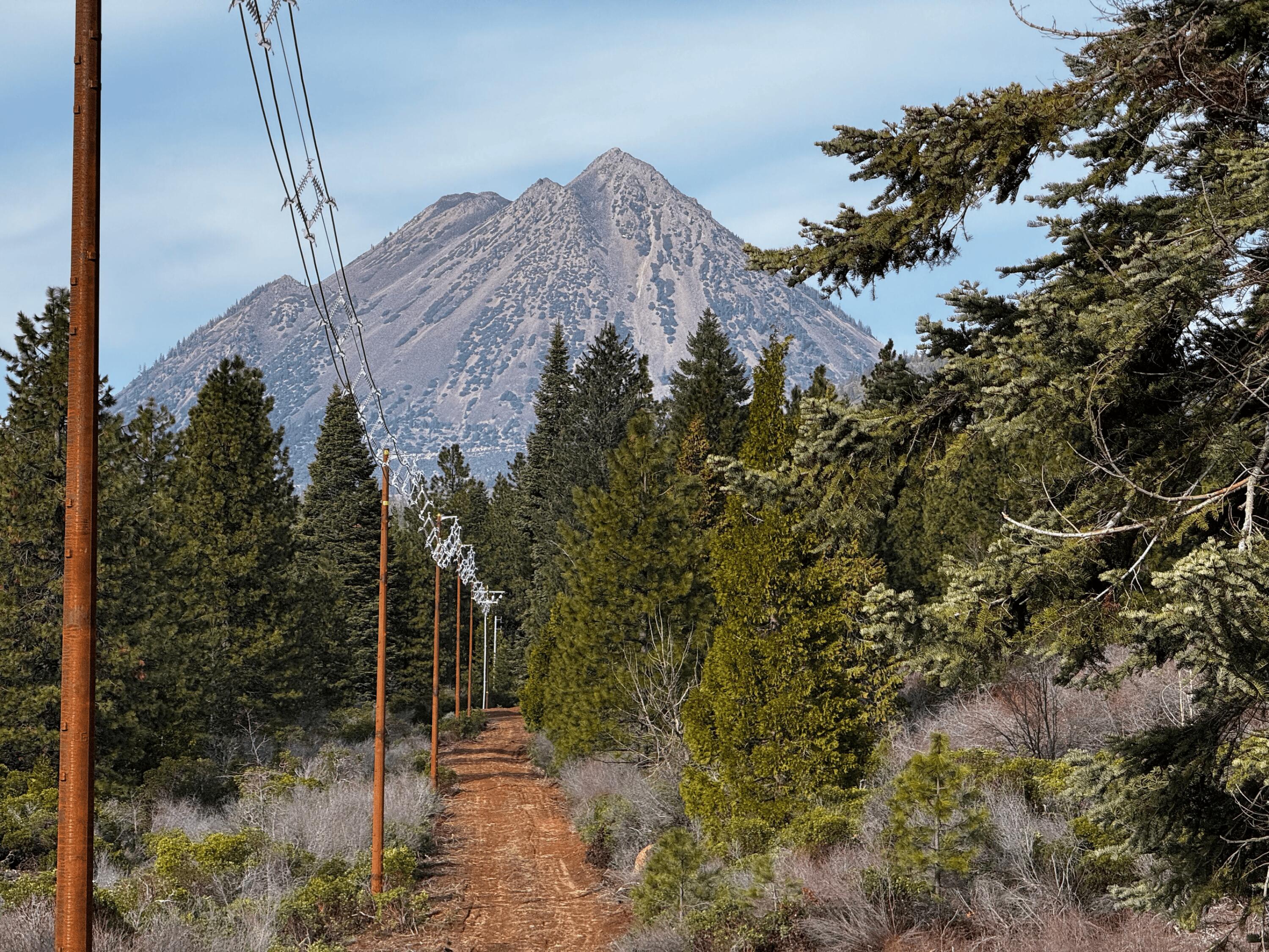 S Mount Mount Shasta, CA 96067 - Photo 3 of 29 a view of a backyard