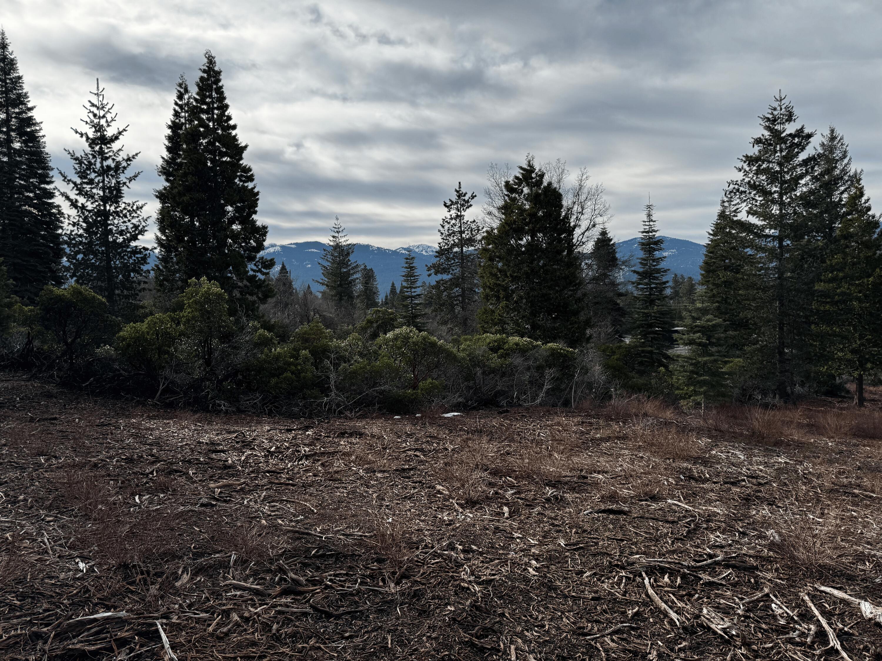 S Mount Mount Shasta, CA 96067 - Photo 5 of 29 a view of a pathway with a garden