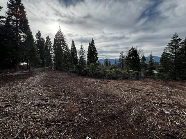 a view of a green field