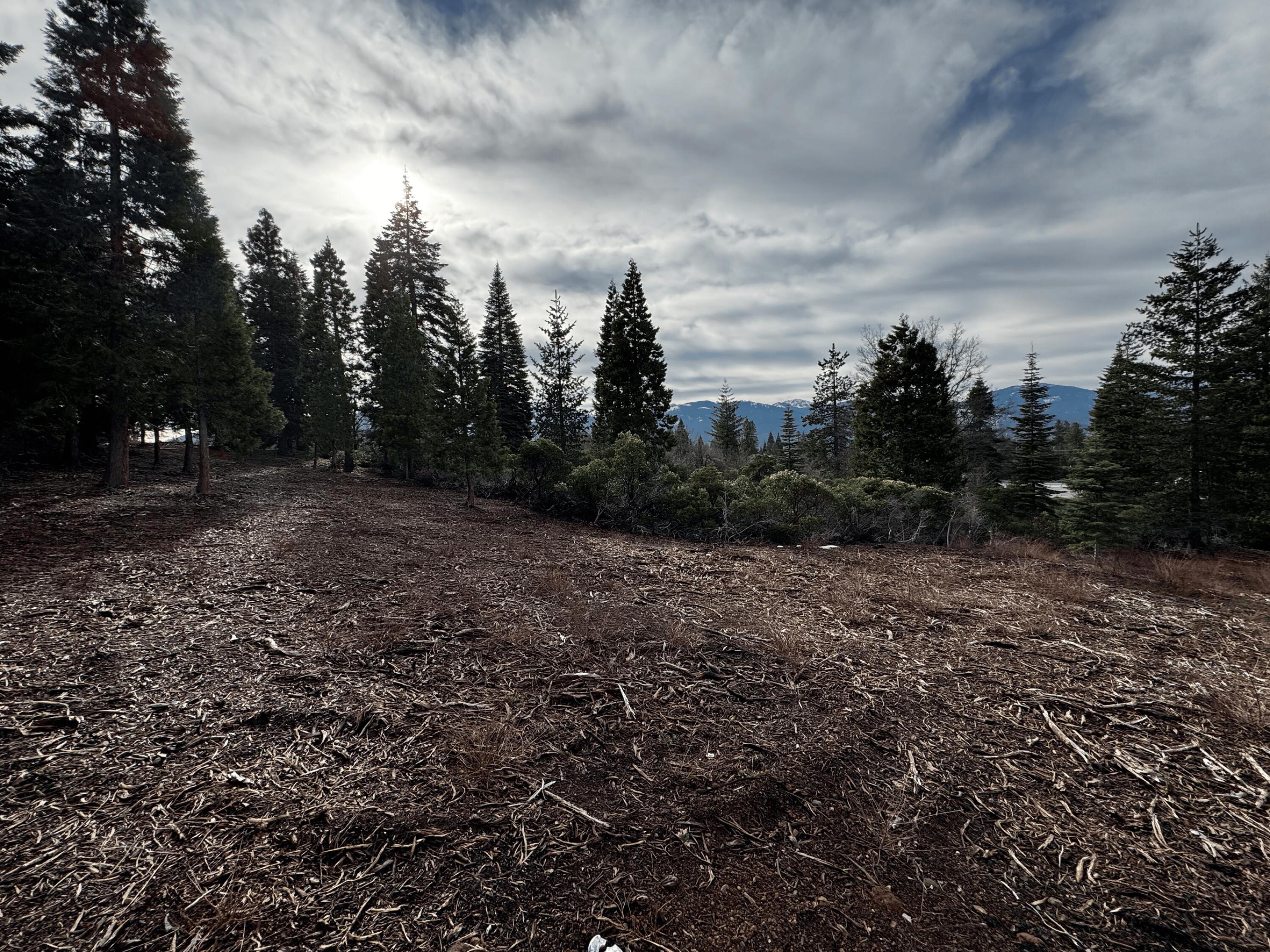S Mount Mount Shasta, CA 96067 - Photo 6 of 29 a view of a green field