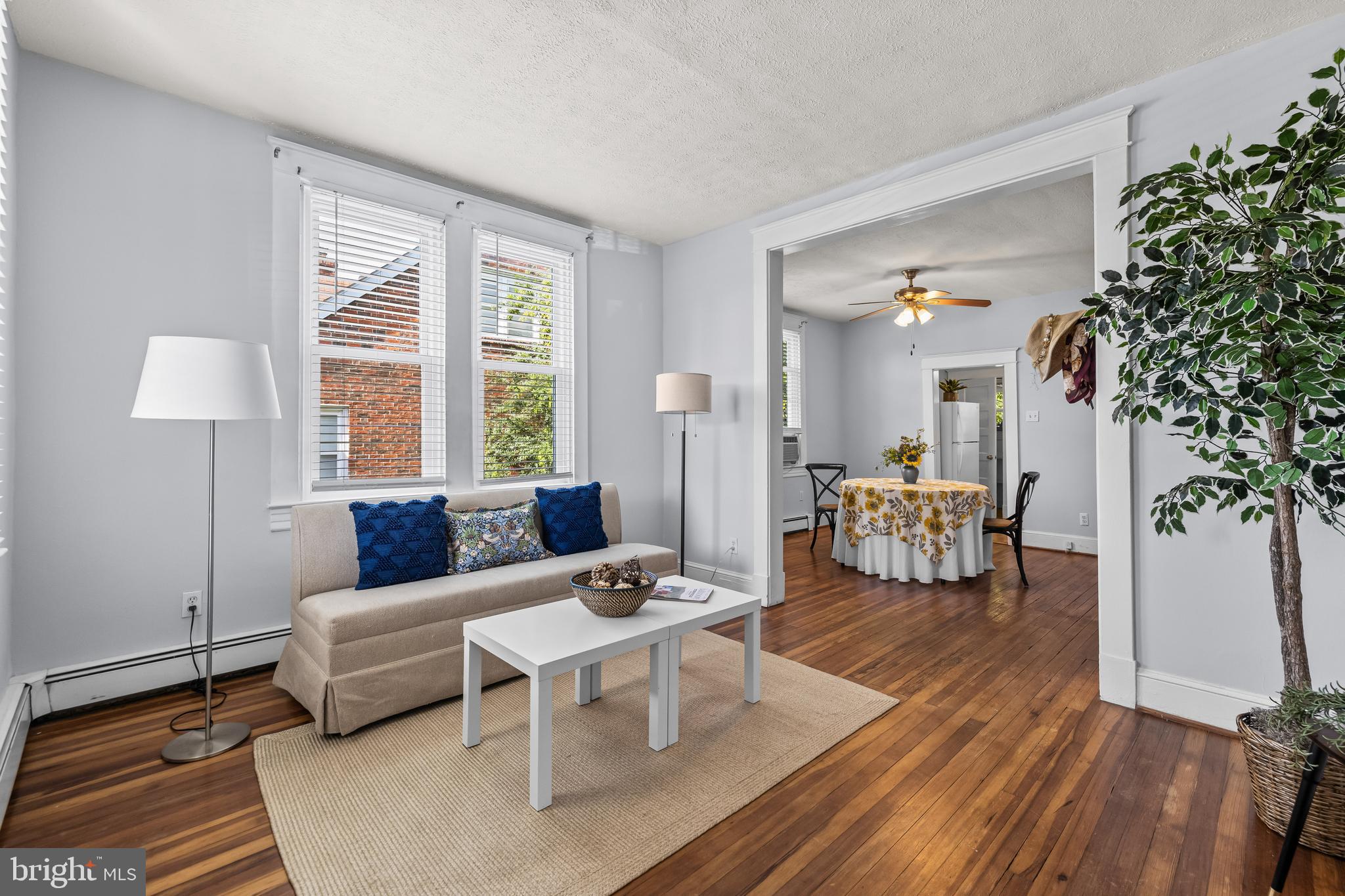 4406 Mainfield Avenue Baltimore, MD 21214 - Photo 5 of 47 a living room with furniture and a potted plant