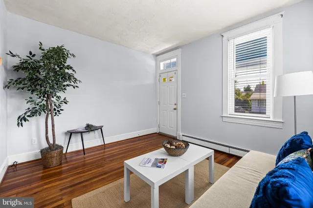 a living room with furniture and a potted plant