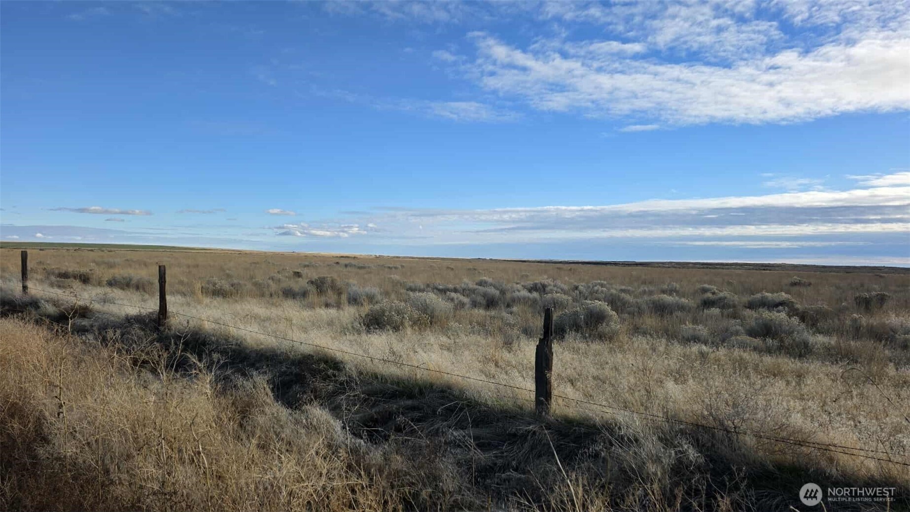 0 Nna Road Marlin, WA 98832 - Photo 13 of 23 a view of a yard with an outdoor space