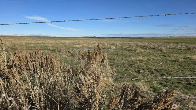 $43,000 | 256 Eagle Springs Ranch, Marlin, WA 98832