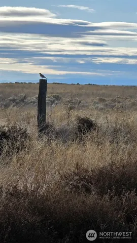 $43,000 | 256 Eagle Springs Ranch, Marlin, WA 98832