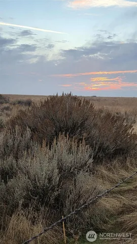 $43,000 | 256 Eagle Springs Ranch, Marlin, WA 98832