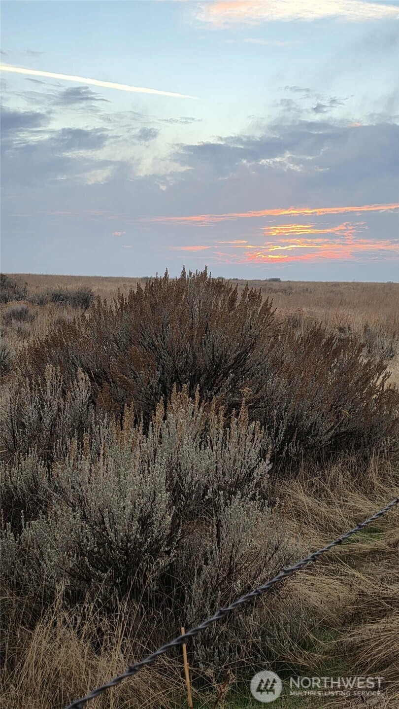 0 Nna Road Marlin, WA 98832 - Photo 3 of 23