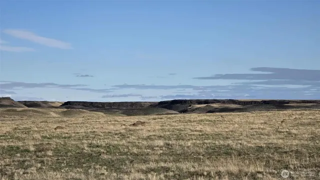 $43,000 | 256 Eagle Springs Ranch, Marlin, WA 98832