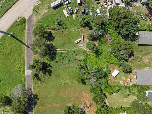 a view of a garden with plants
