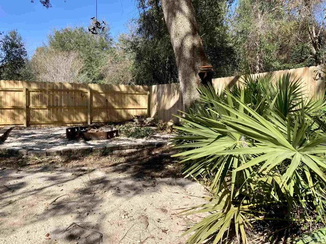 a view of a yard with plants and trees