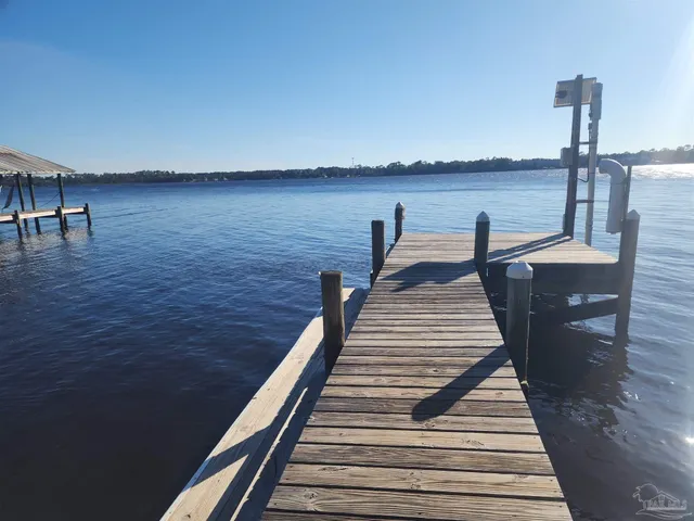 a view of a yard with plants and trees