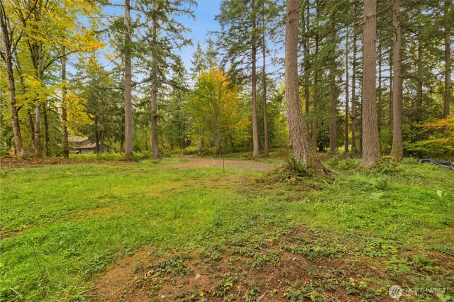 a view of outdoor space with trees all around