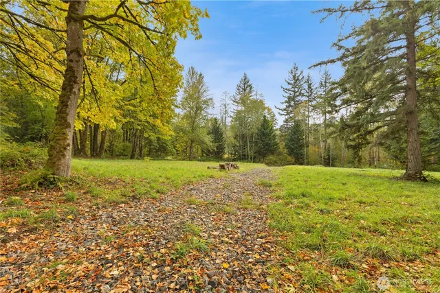 a view of yard with green space