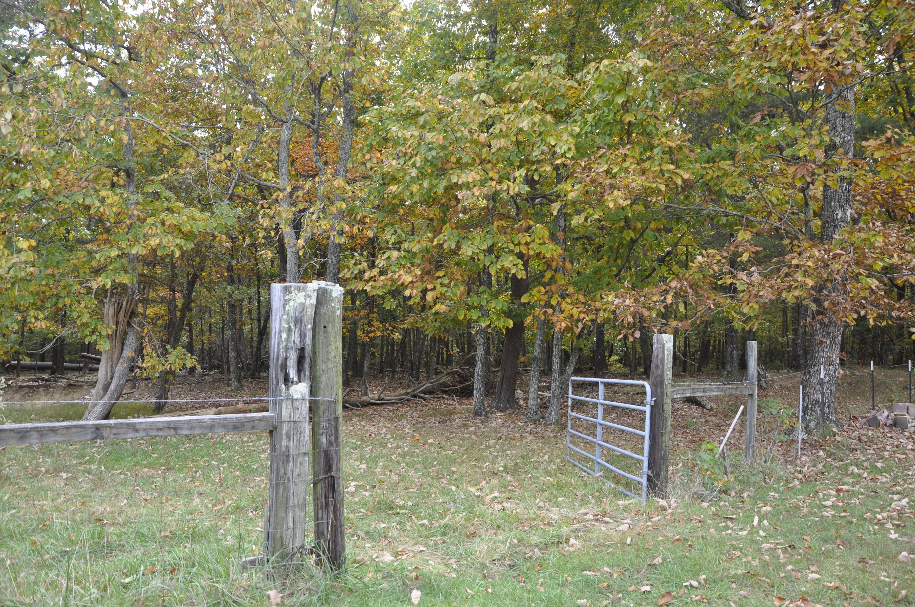 4991 Old State Road Menlo, GA 30731 - Photo 52 of 79 051 pasture