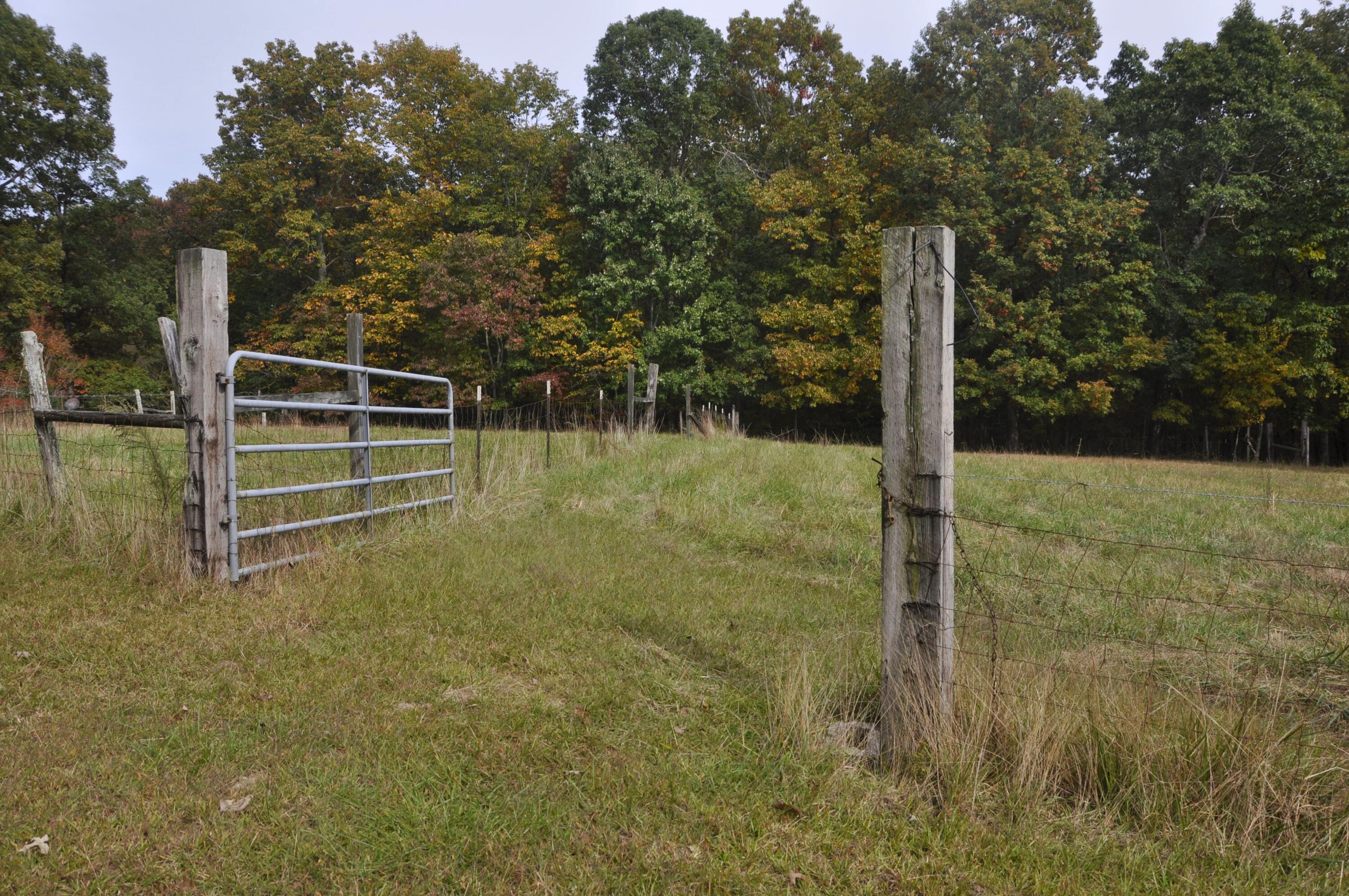4991 Old State Road Menlo, GA 30731 - Photo 53 of 79 052 pasture