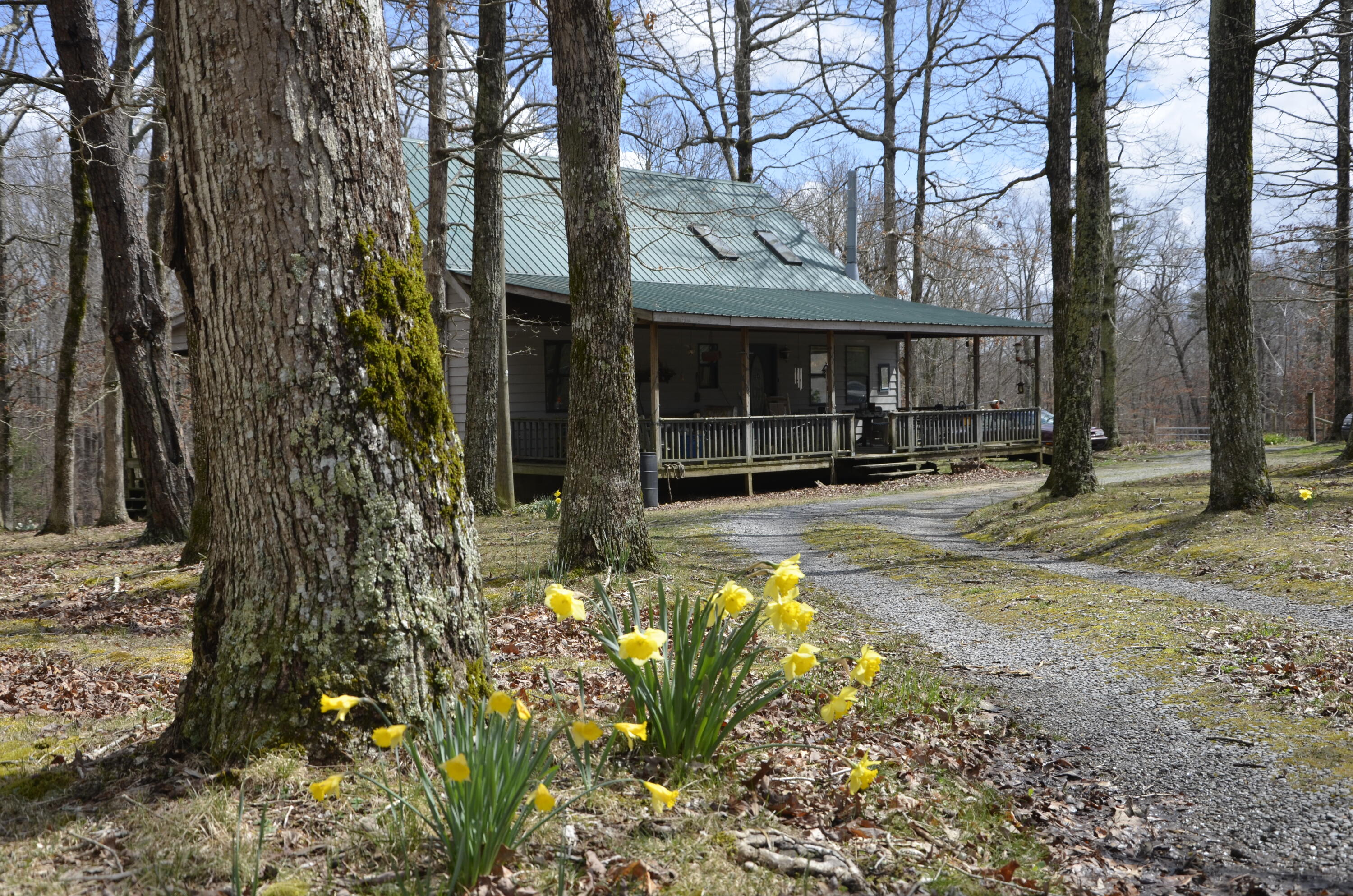 4991 Old State Road Menlo, GA 30731 - Photo 62 of 79 061 spring