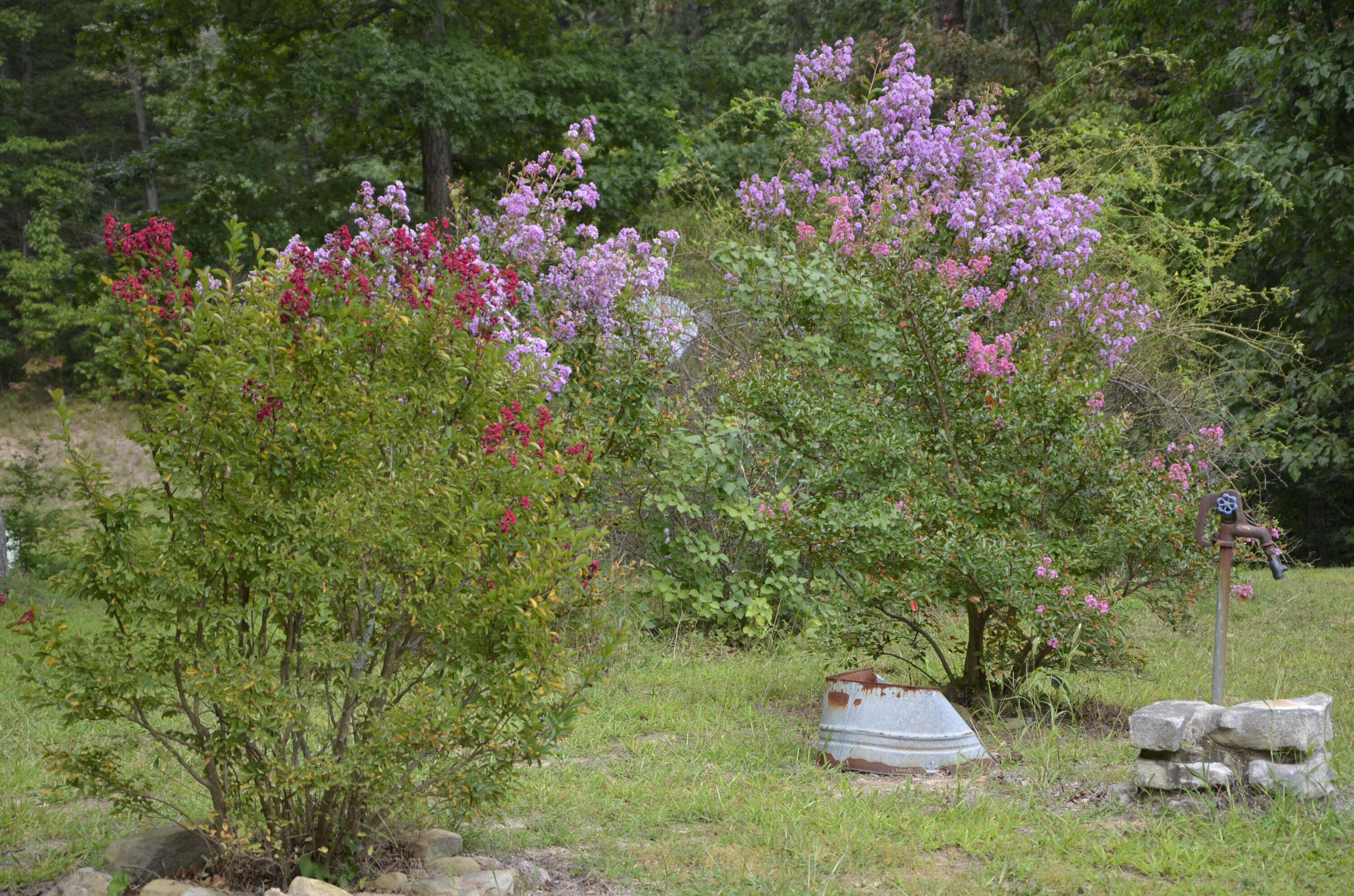 4991 Old State Road Menlo, GA 30731 - Photo 64 of 79 063 summer
