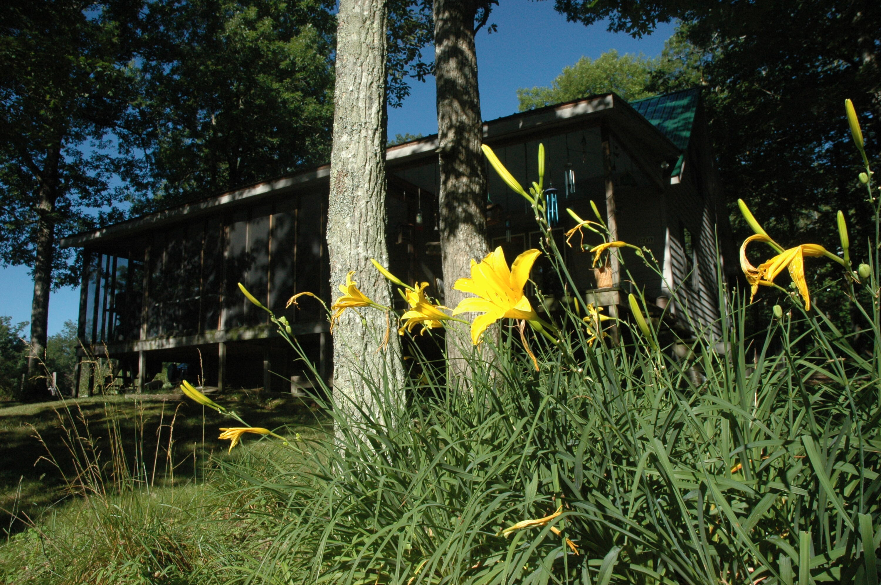 4991 Old State Road Menlo, GA 30731 - Photo 68 of 79 067 summer