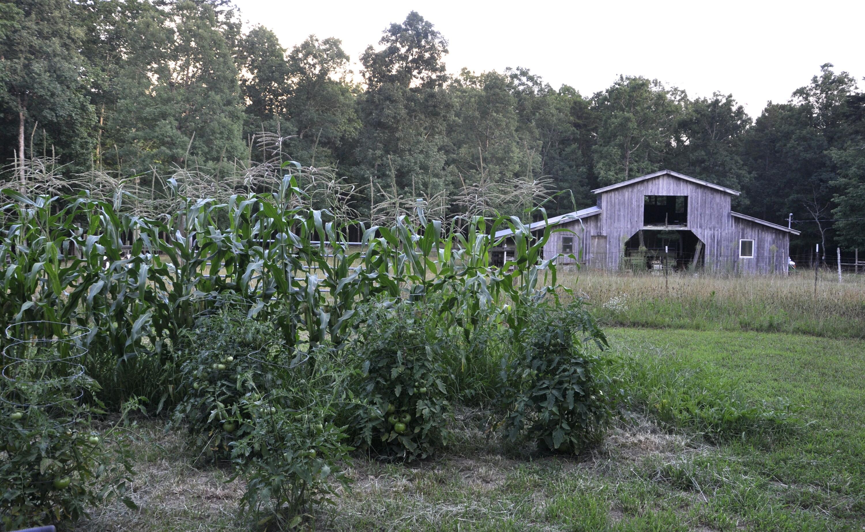 4991 Old State Road Menlo, GA 30731 - Photo 69 of 79 068 summer