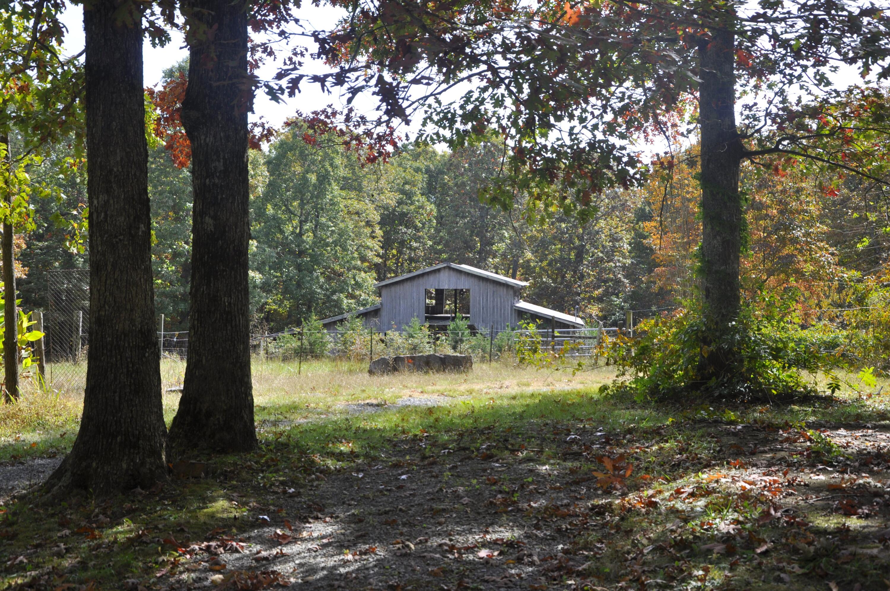 4991 Old State Road Menlo, GA 30731 - Photo 70 of 79 069 fall