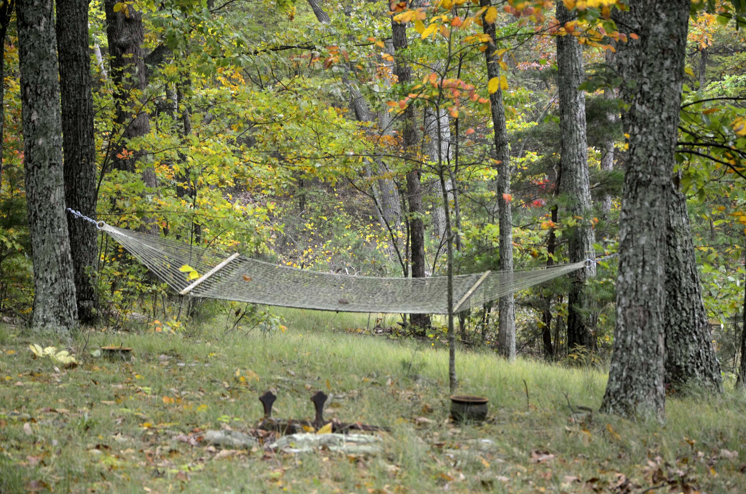 4991 Old State Road Menlo, GA 30731 - Photo 72 of 79 071 fall