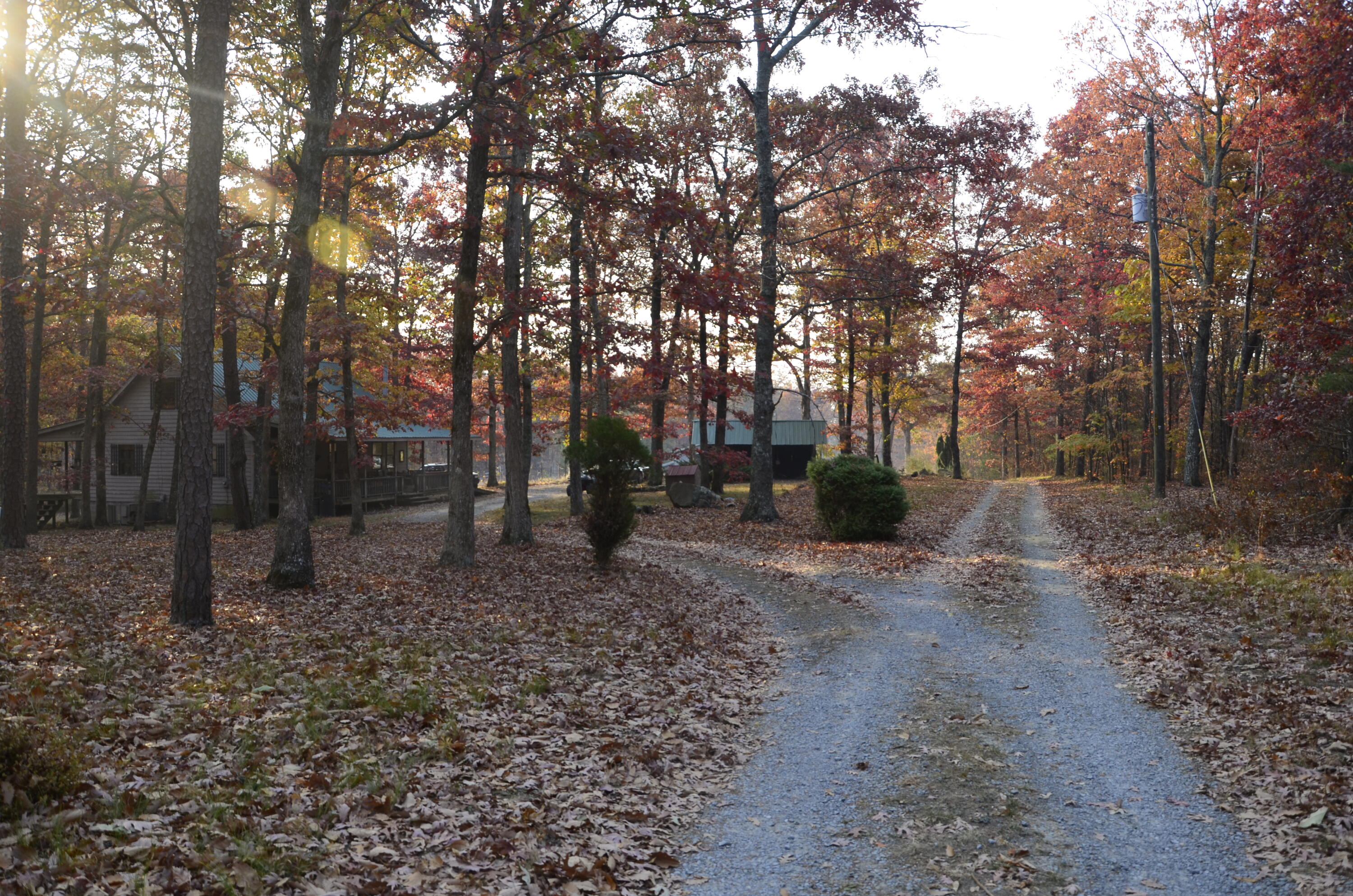 4991 Old State Road Menlo, GA 30731 - Photo 74 of 79 073 fall