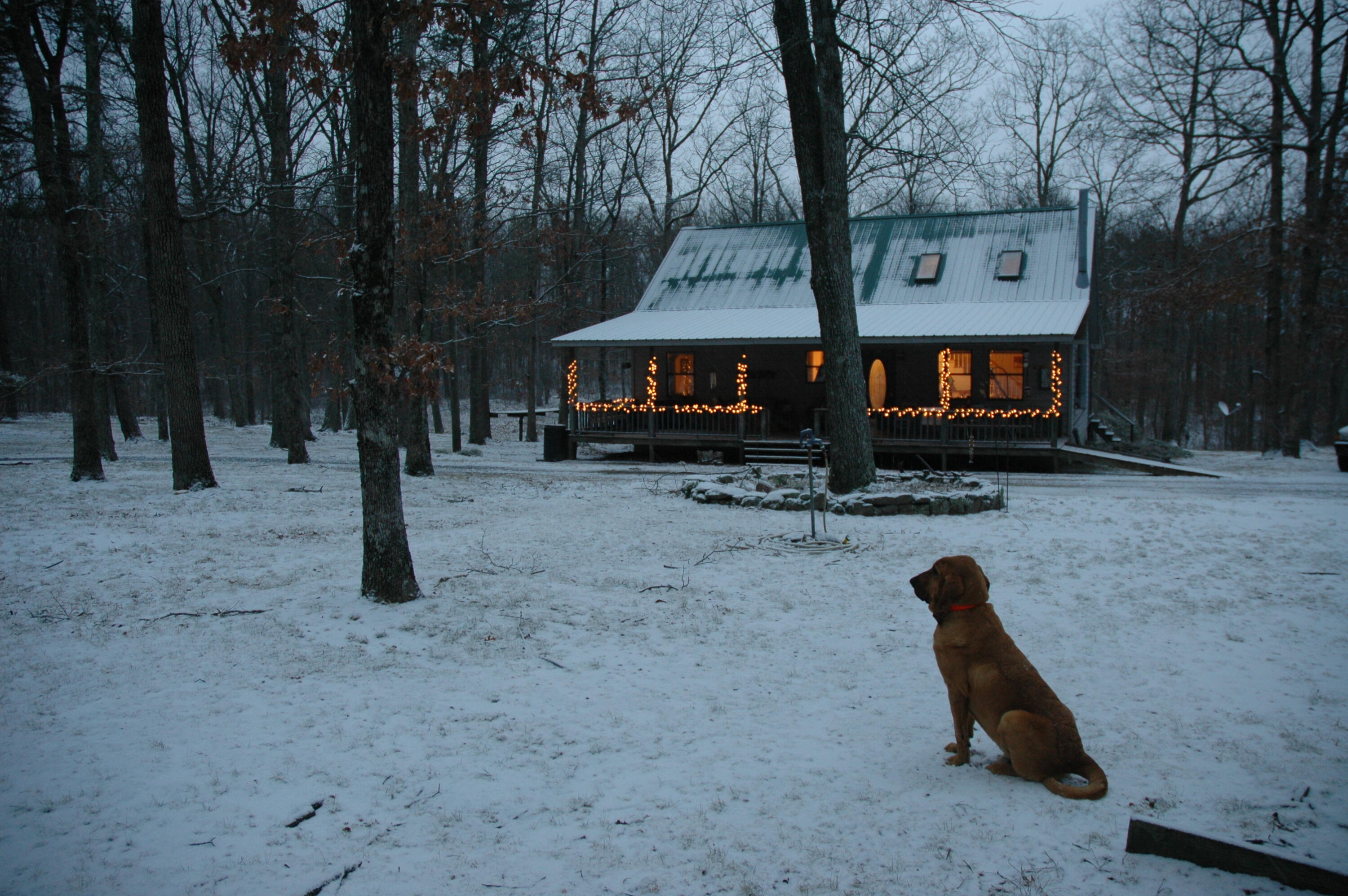 4991 Old State Road Menlo, GA 30731 - Photo 76 of 79 075 winter