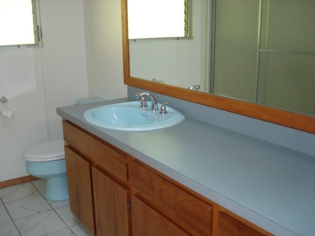 2215 Kaiwiki Road Hilo, HI 96720 - Photo 18 of 30 a bathroom with a sink a toilet and a mirror