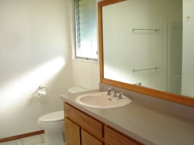 2215 Kaiwiki Road Hilo, HI 96720 - Photo 24 of 30 a bathroom with a sink a toilet and a mirror