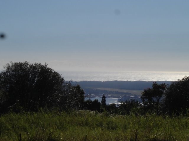 2215 Kaiwiki Road Hilo, HI 96720 - Photo 4 of 30 a view of a city with green space