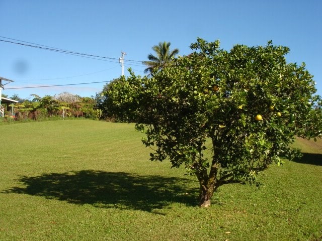2215 Kaiwiki Road Hilo, HI 96720 - Photo 6 of 30 a view of ocean with a lake