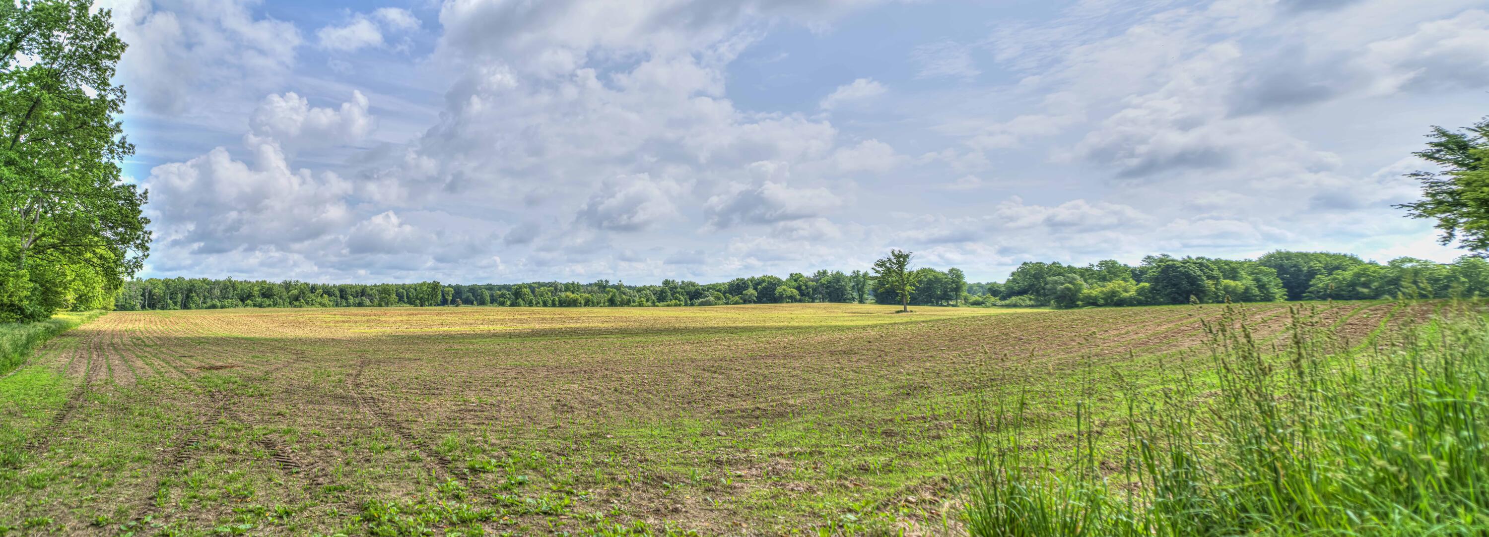 2001 North Harrington Road Parma, MI 49269 - Photo 9 of 14 VL Harrington Rd 08