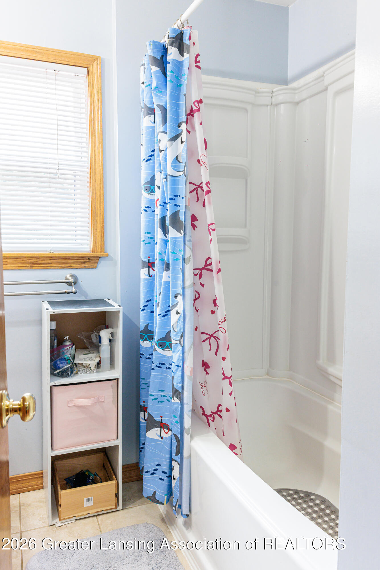 1013 Maycroft Road Lansing, MI 48917 - Photo 19 of 29 IMG_1417