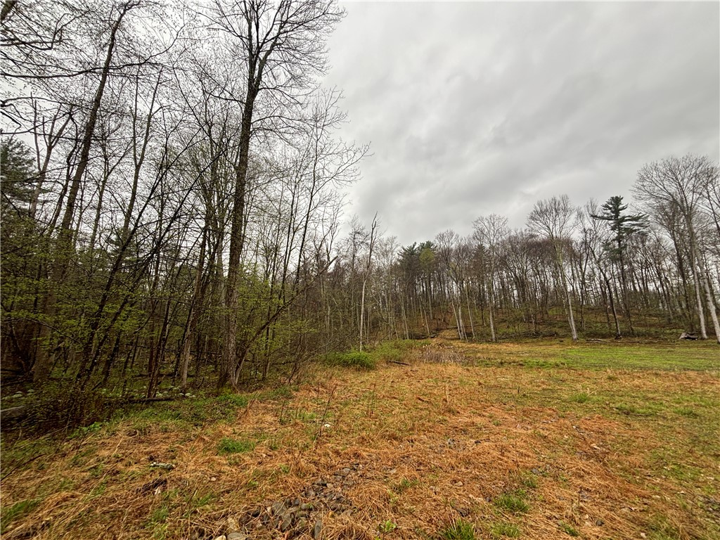 2093 Scott Road Erwin, NY 14858 - Photo 11 of 36 Gallery Image 11