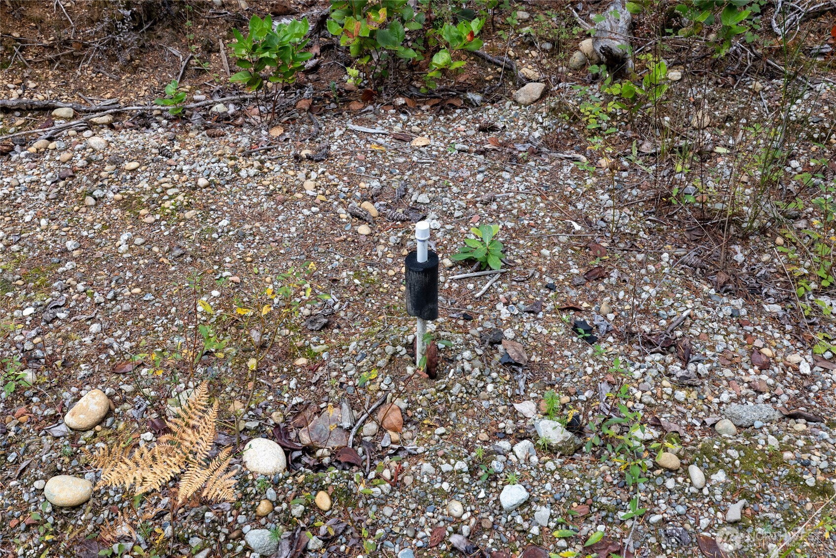 7201 Southwest Ridgeline Drive Port Orchard, WA 98367 - Photo 19 of 26